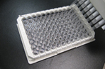 QuickTiter™ AAV Titer ELISA Kit