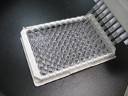 Chenodeoxycholic Acid ELISA Kit