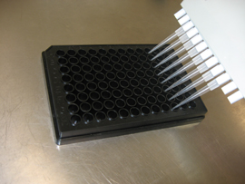 Adenosine Assay