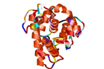 Cas9 Assays