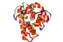 Human LDL, Copper Oxidized
