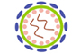 CMV Glycoprotein B (HCMV gB) ELISA Kit
